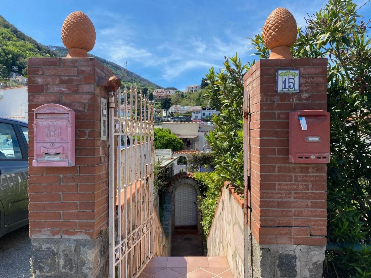 Casa Wanda Villa Ischia Exteriör bild